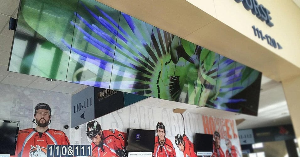 西尔弗斯坦竞技场的悬挂式视频墙显示了一张花的照片，后面的墙上显示了冰球运动员的照片