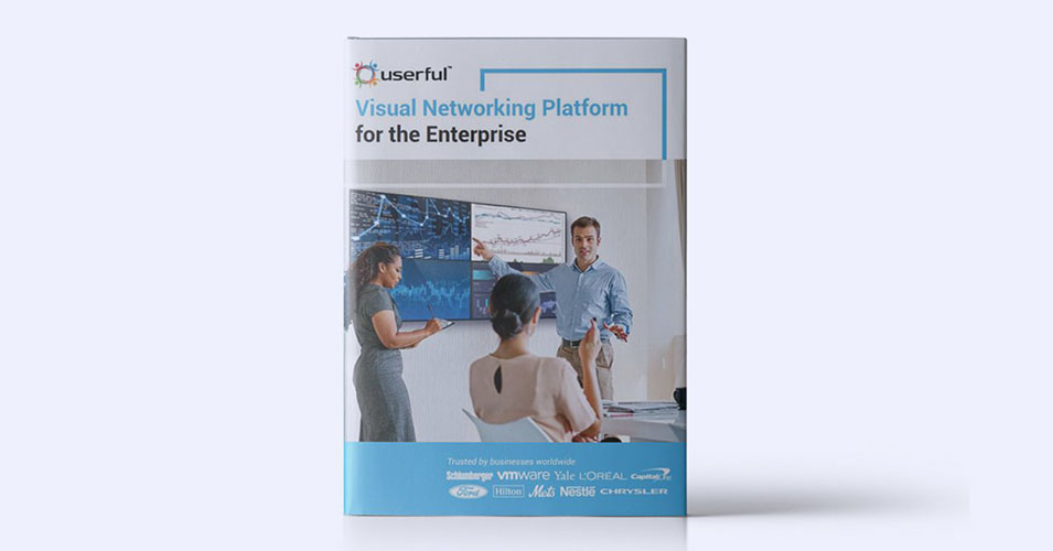 Userful's Visual Networking Platform for the Enterprise Ebook